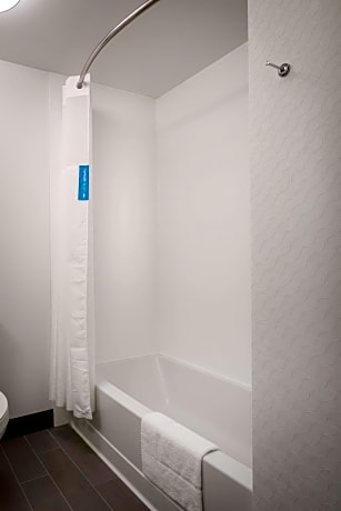 1 King Mobility Hearing Accessible Roll In Shower Studio Non-Smoking