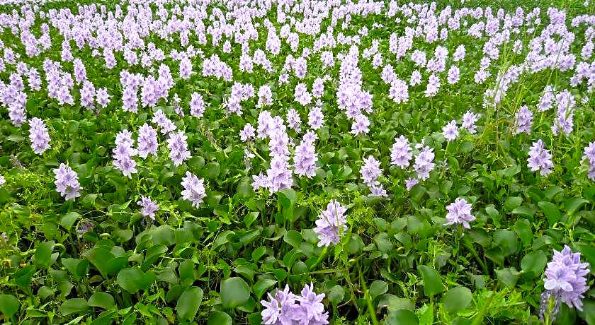 Relax House Bed and Breakfast