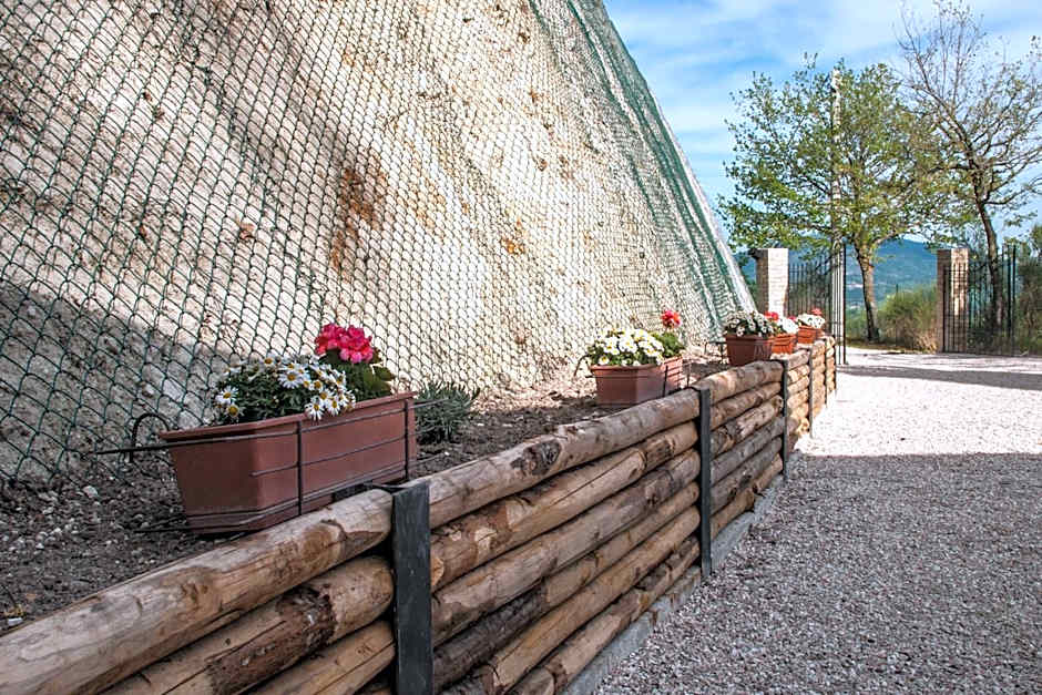 Calmancino delle Selve