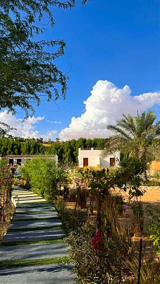 Damas Resort — 50 fotoğraftan 1. fotoğraf