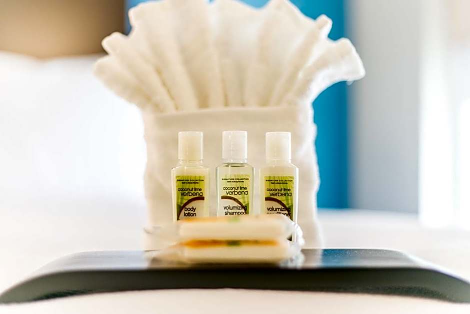 Holiday Inn Hotel & Suites Chattanooga Downtown By IHG