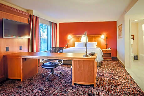 1 King Bed Studio Suite Nonsmoking