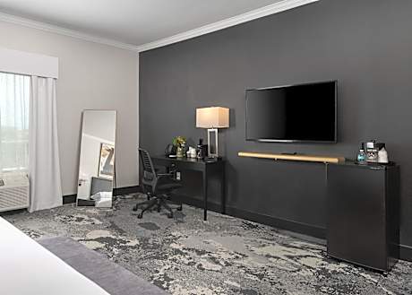 King Suite with Mobility Access Tub