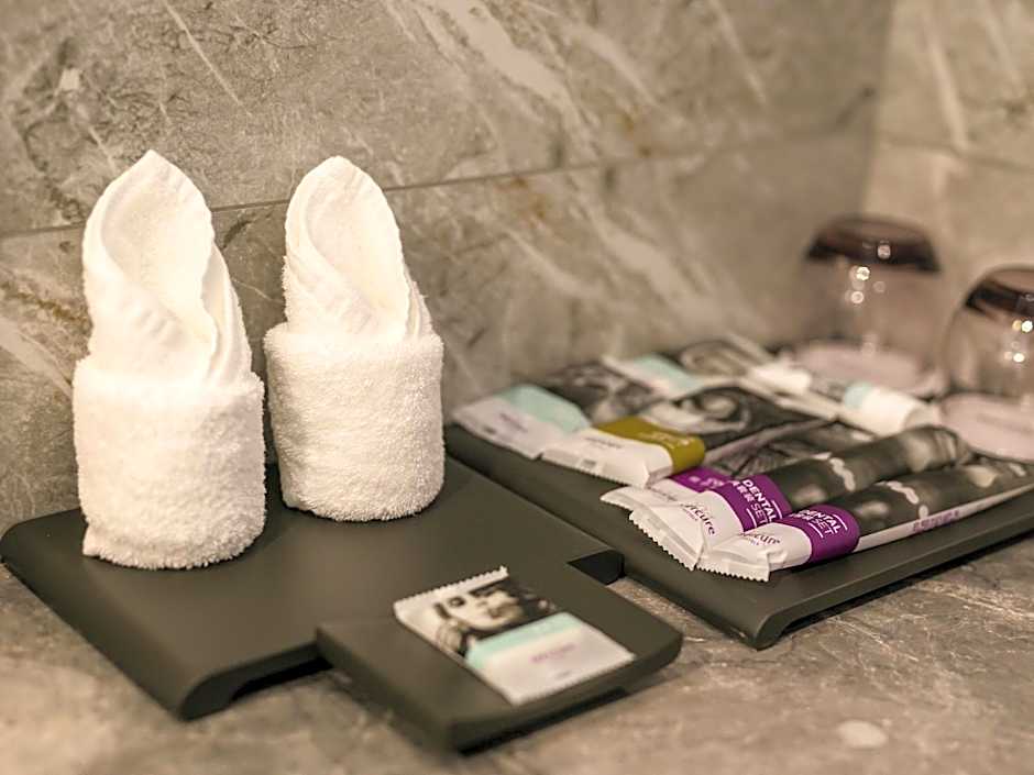 Mercure Ordos Downtown