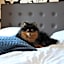 Best Western Vetlanda Stadshotell