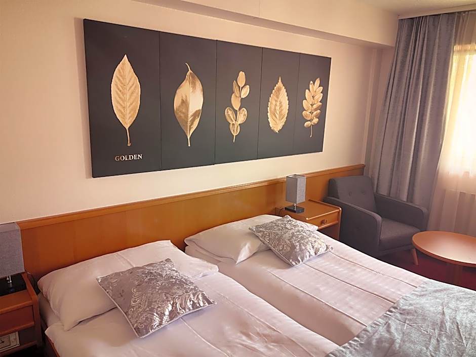 Hotel des Trois Rois