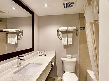 1 King Bed Premium Suite Non-Smoking