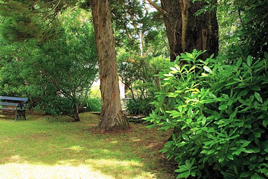 Blackheath Motor Inn