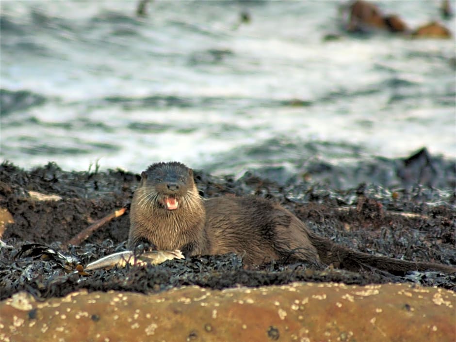 An Cois Na Mara Bed & Breakfast