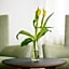 Partner Hotel AG Zofingen