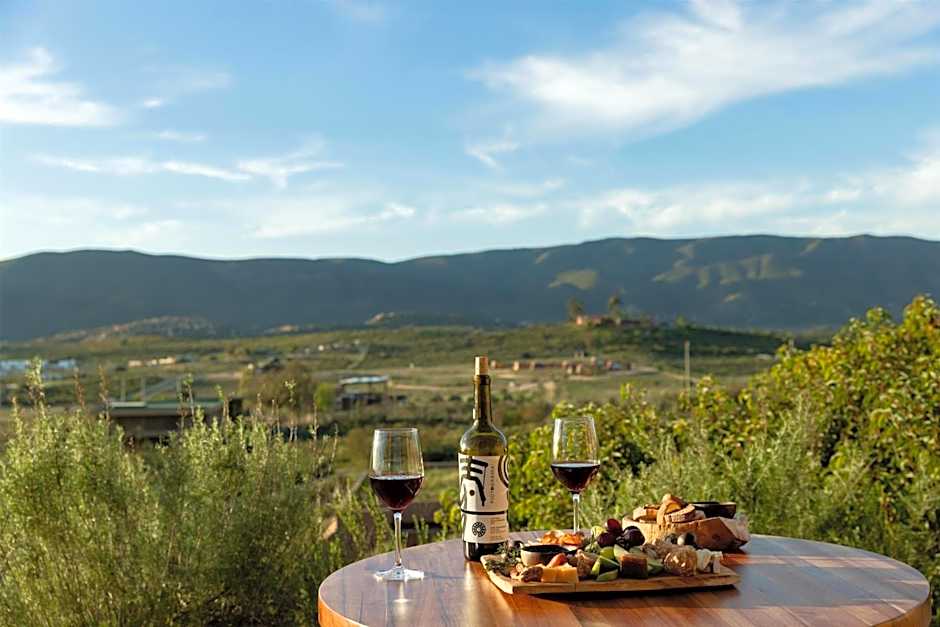 Banyan Tree Veya, Valle de Guadalupe