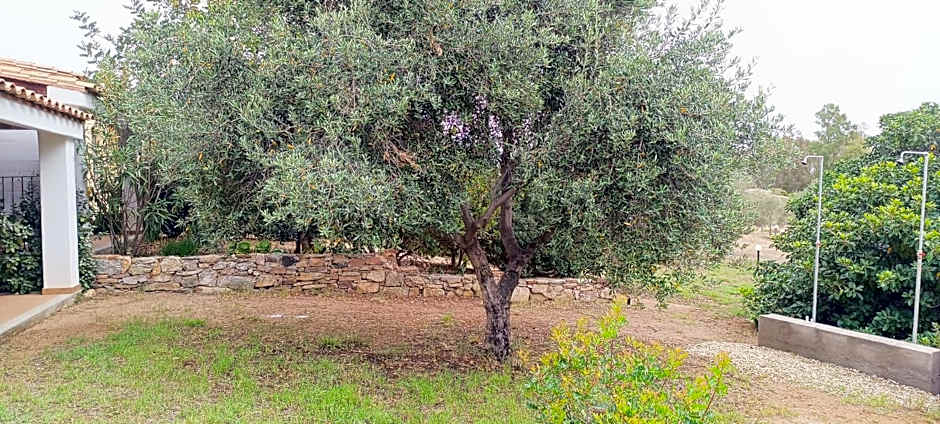 Sa Teria Village - Camere Deluxe -