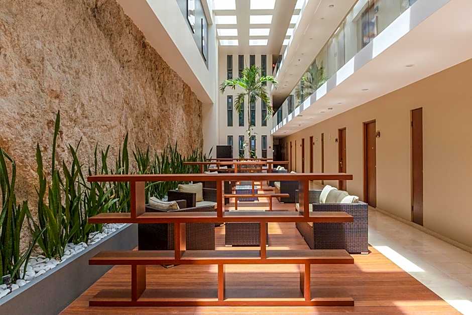 Gamma Los Cabos