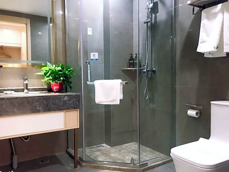 VX Hefei Lianhua Road Hotel