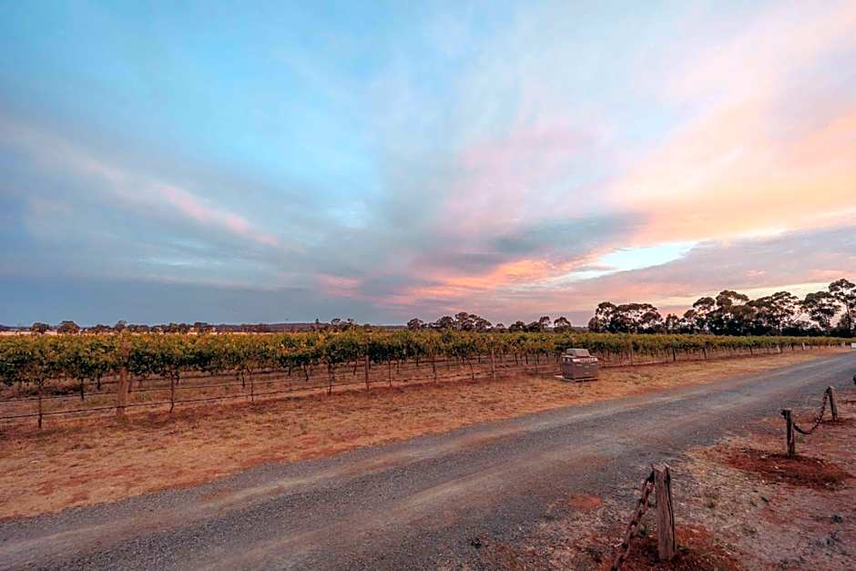 Vineyard Views at Shiraz Republic