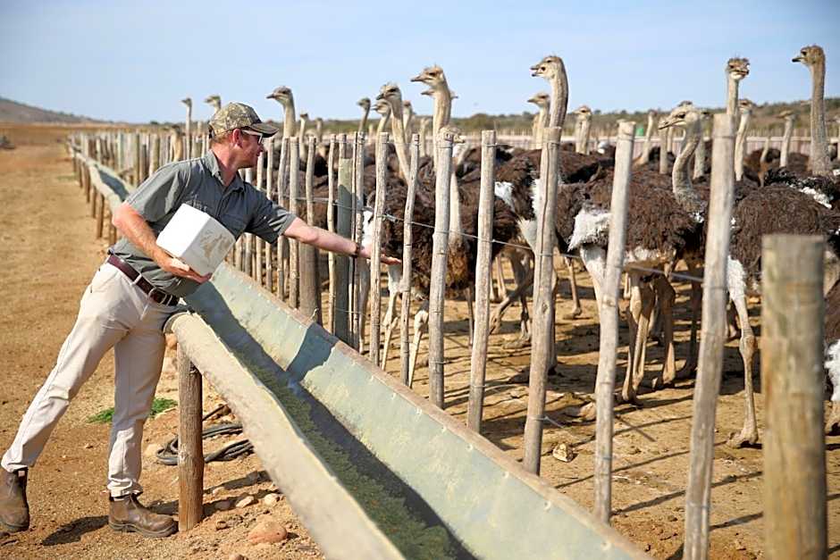 De Opstal Country Lodge