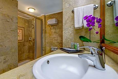 Deluxe Garden Double Room