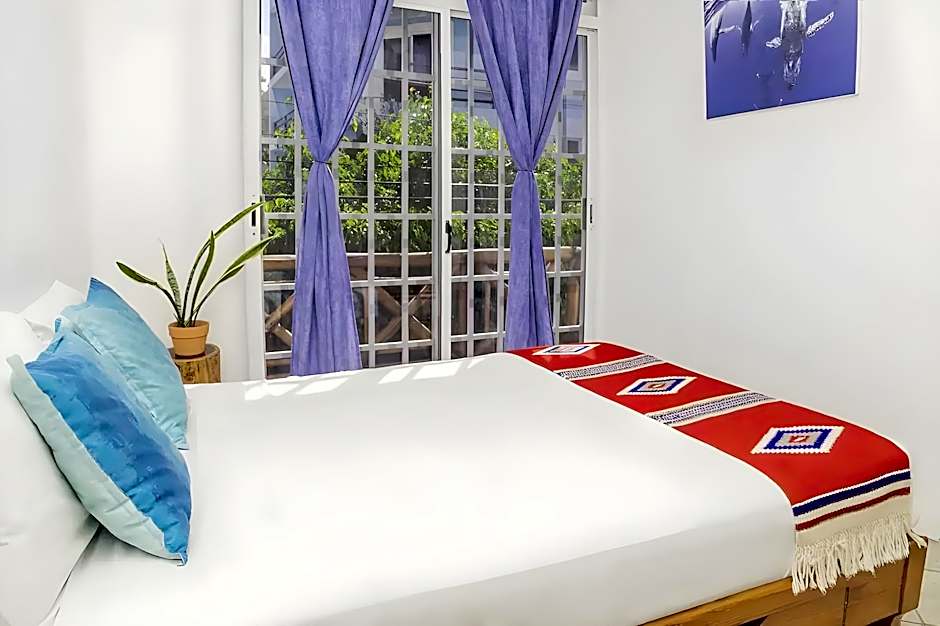 Estudios Selva y Mar by BFH