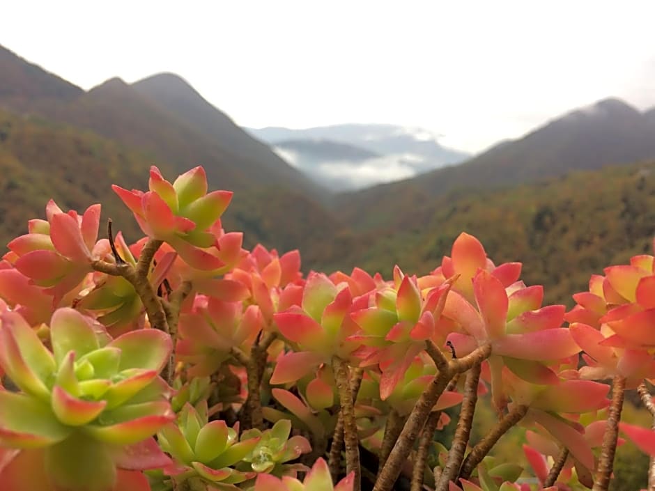 B&B La Locanda del Cinghiale