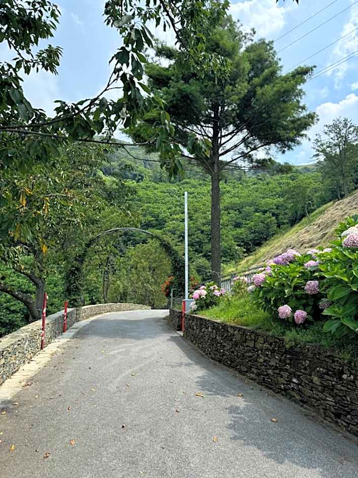 B&b Al Ciliegio Del Turchino