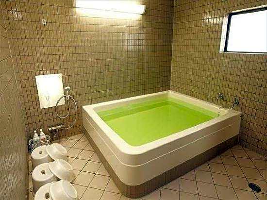 Business Hotel Tsukushi