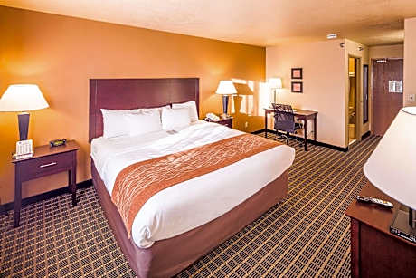 1 King Bed, Non-Smoking