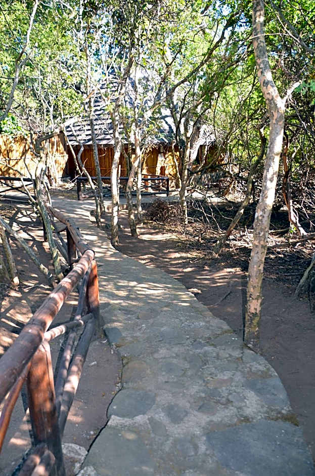 Moholoholo Forest Camp