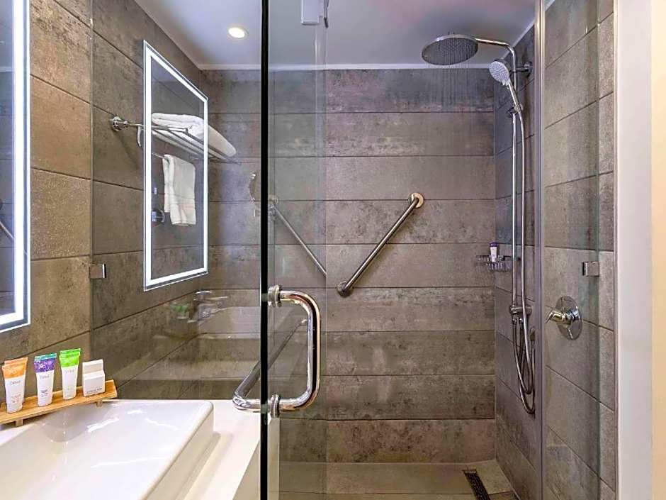 Novotel Santiago Providencia