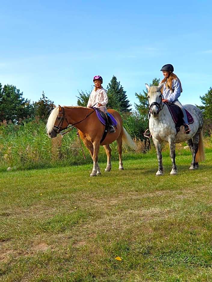 Kur-& Landhotel Borstel - Treff