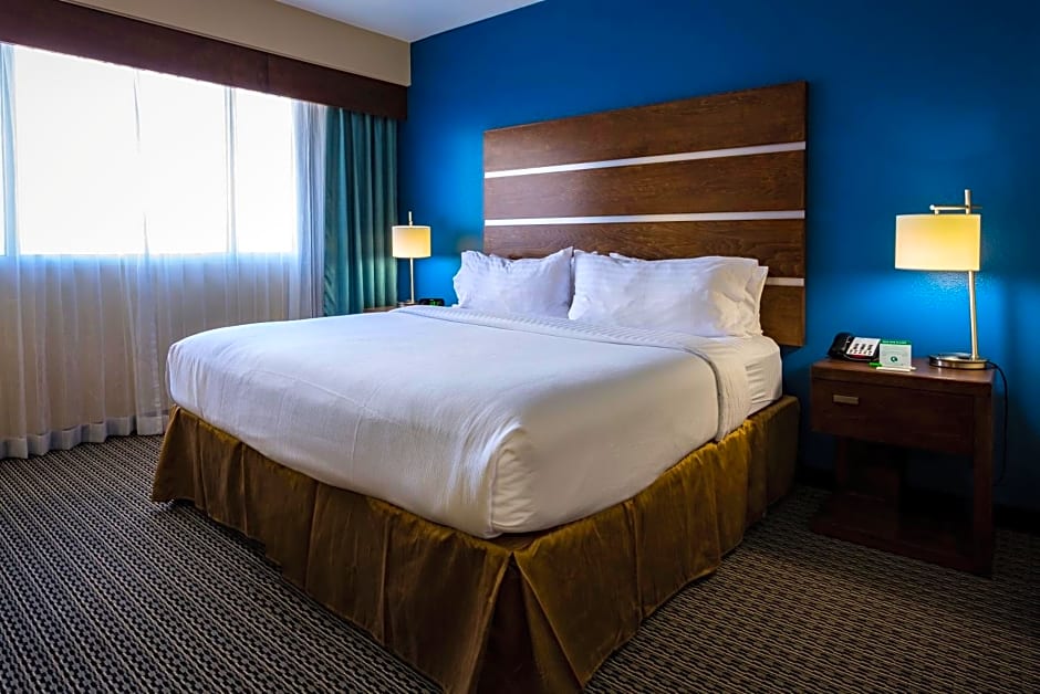 Holiday Inn Houston Downtown By IHG