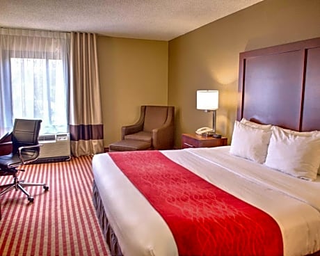 1 Bedroom King Suite