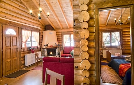 Two Story Chalet with fireplace
