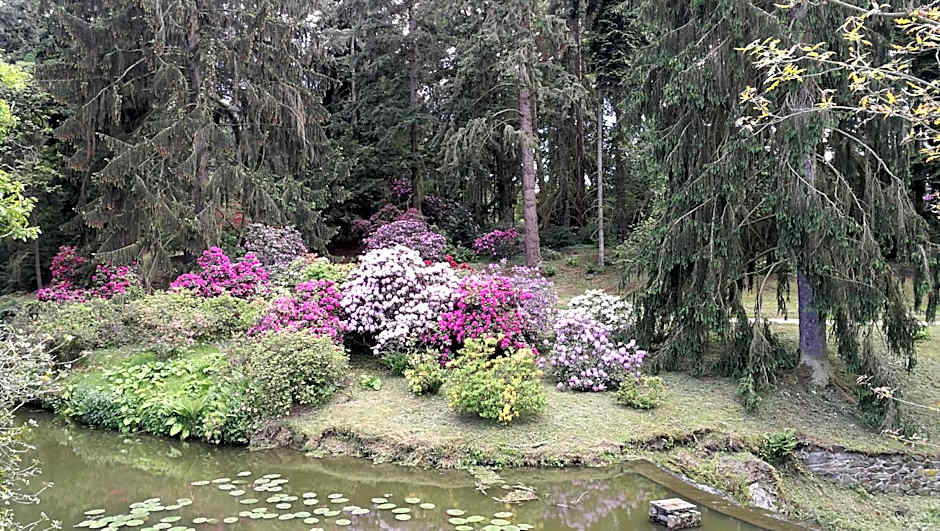 Hotel Tulipan Pruhonice