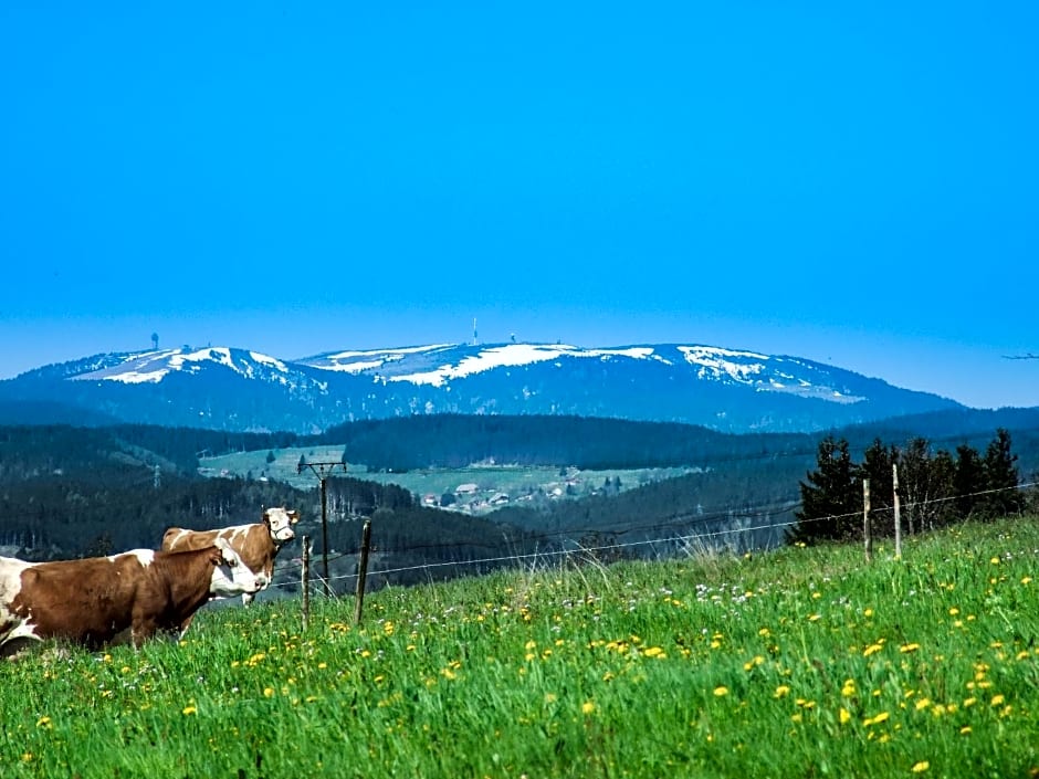 Landgasthof Alpenblick an der Wutachschlucht Südschwarzwald