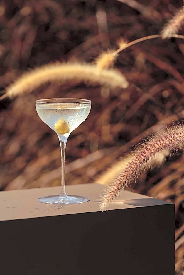 The Ritual, A Wellness Retreat