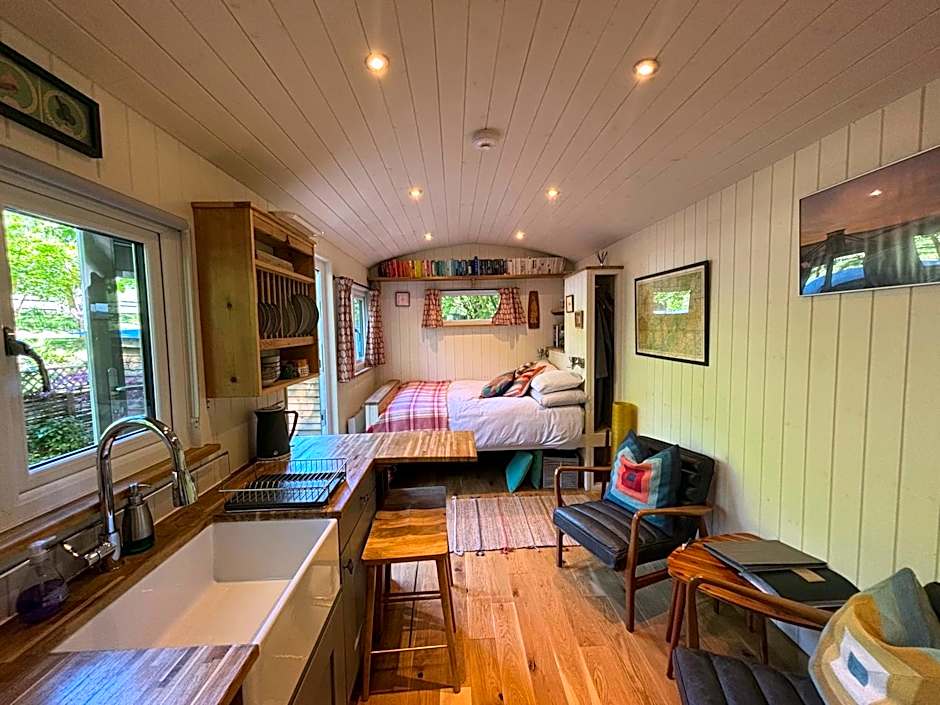 Shepherd’s delight