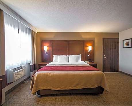 1 King Bed Suite Nonsmoking