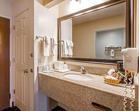 Standard King Room with Roll-in Shower - Accessible/Non-Smoking