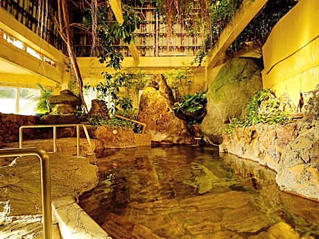 水と緑のやすらぎの宿　一の瀬