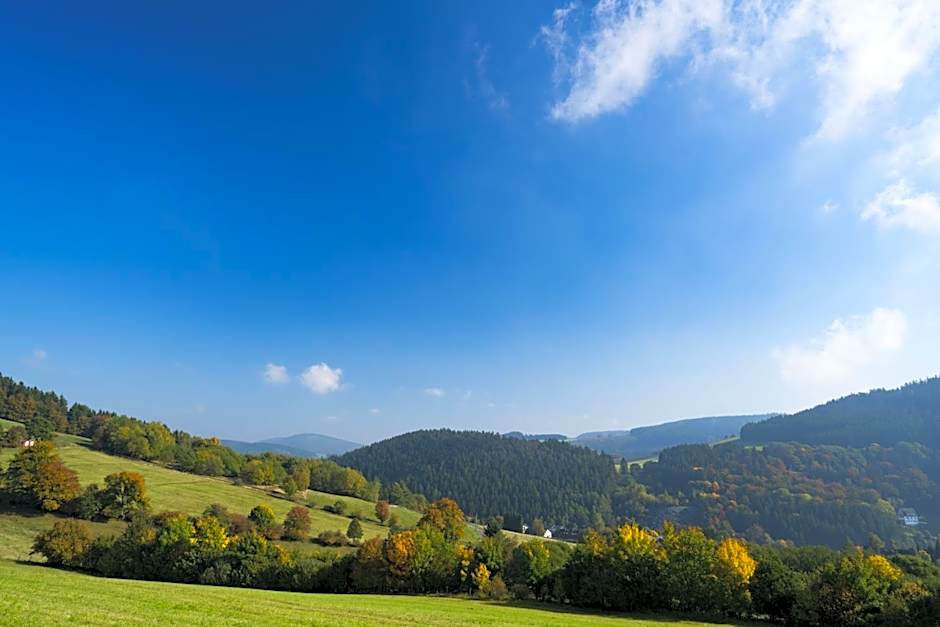 Das Loft Hotel Willingen