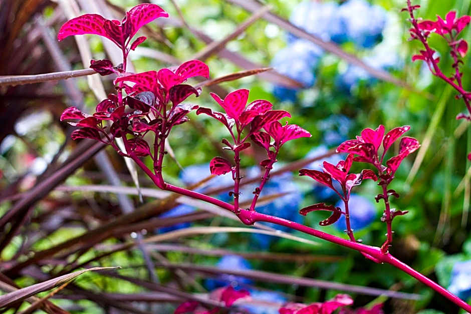 Mt Glorious Getaways