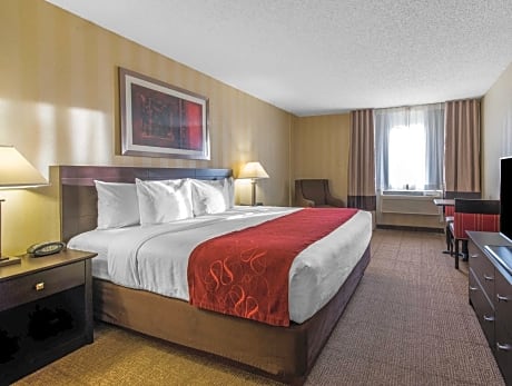 1 Bedroom King Suite