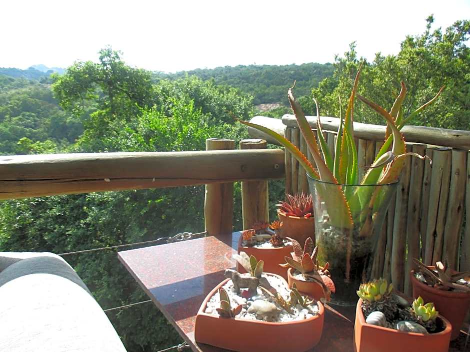 Utopia in Africa Guest Villa