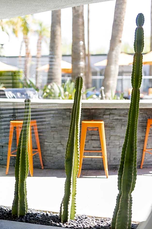 The Palm Springs Hotel