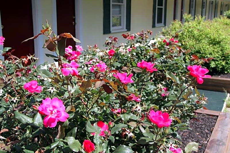 Lodge at Kennebunk