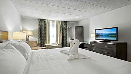 King Room - Hearing Accessible/Non-Smoking