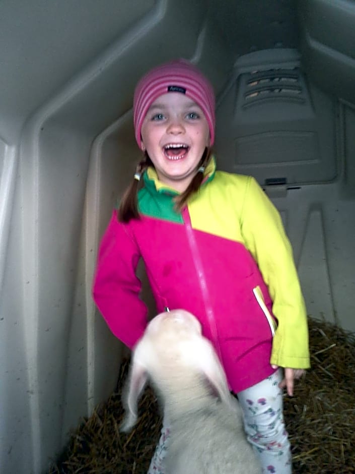 Bauernhof Schornlehen