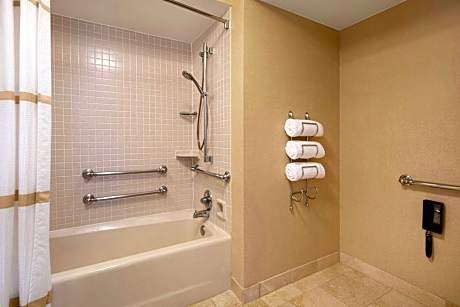 Suite, 1 Bedroom (Mobility/Hearing Access, Roll-In Shwr) (1 King Bed and 1 Double Sofa Bed)