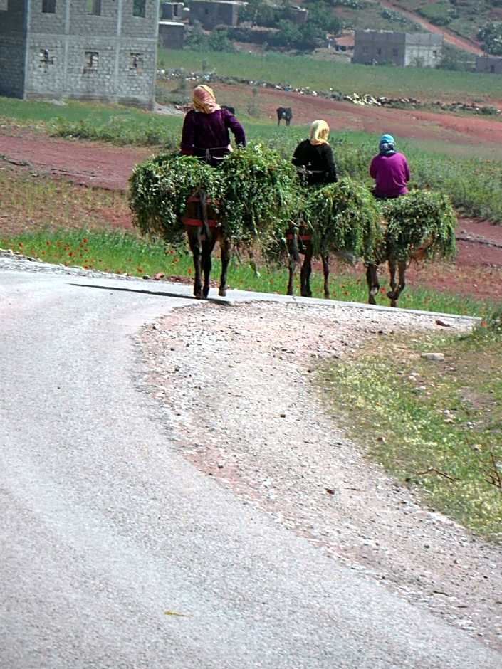 Gite Tigmi Azrur