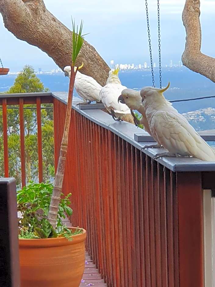 Tamborine Mountain Bed & Breakfast